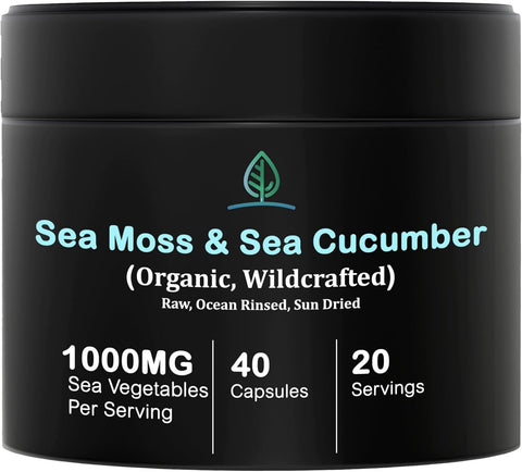 Holistic Bin Purple Sea Moss & Sea Cucumber Supplement — Wildcrafted Raw Sea Moss Capsules | 500mg Sea Vegetables Per Serving