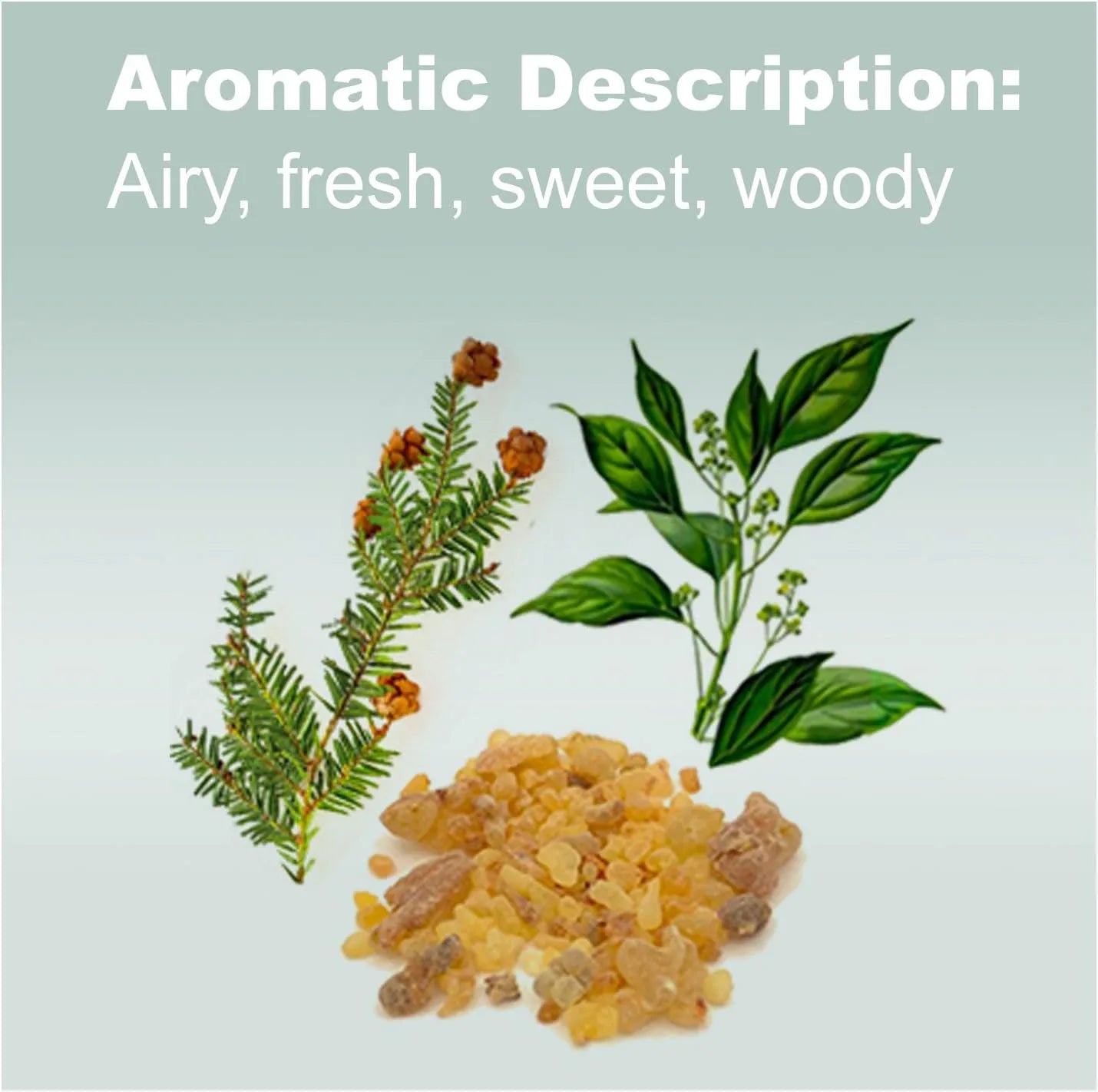 doTERRA Balance Essential Oil Grounding Blend aromatic description: airy, fresh, sweet, woody