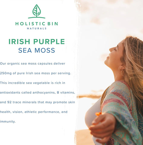 Holistic Bin Purple Sea Moss & Sea Cucumber Supplement — Wildcrafted Raw Sea Moss Capsules | 500mg Sea Vegetables Per Serving