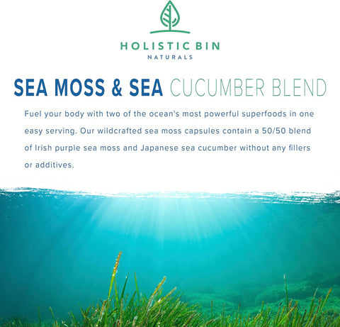 Holistic Bin Purple Sea Moss & Sea Cucumber Supplement — Wildcrafted Raw Sea Moss Capsules | 500mg Sea Vegetables Per Serving