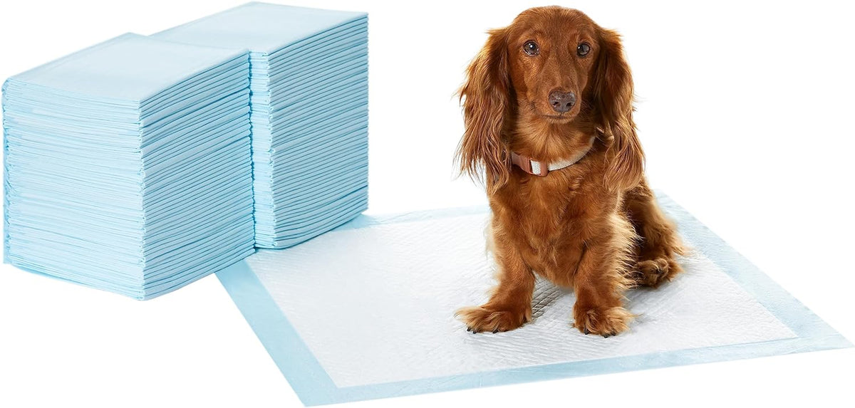 Amazon Basics Dog and Puppy Pee Pads with Leak-Proof Quick-Dry Design for Potty Training, Standard Absorbency, Regular Size, 22 x 22 Inches, Pack of 100, Blue & White